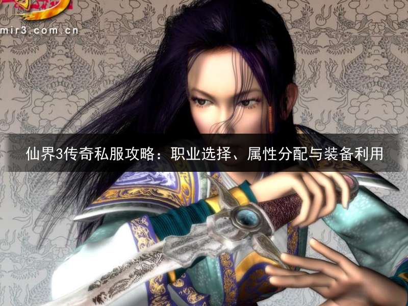 仙界3传奇私服攻略：职业选择、属性分配与装备利用