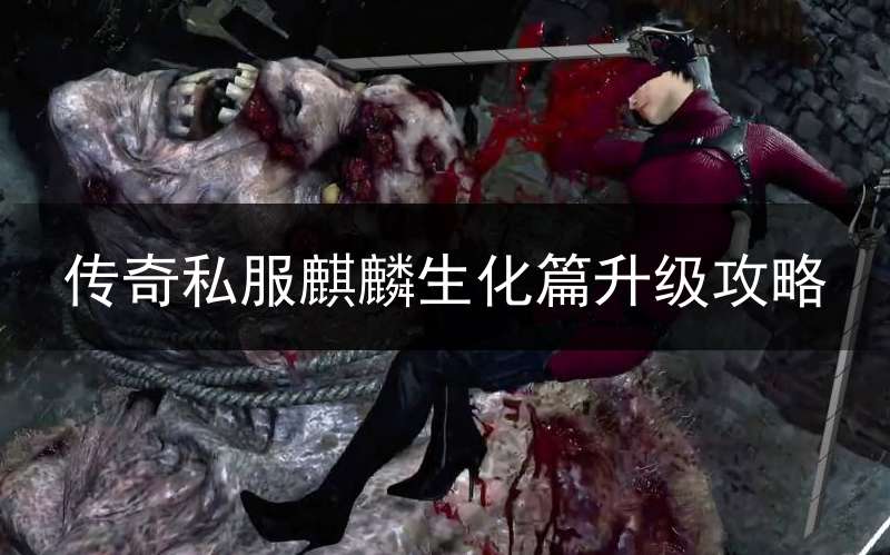 传奇私服麒麟生化篇升级攻略