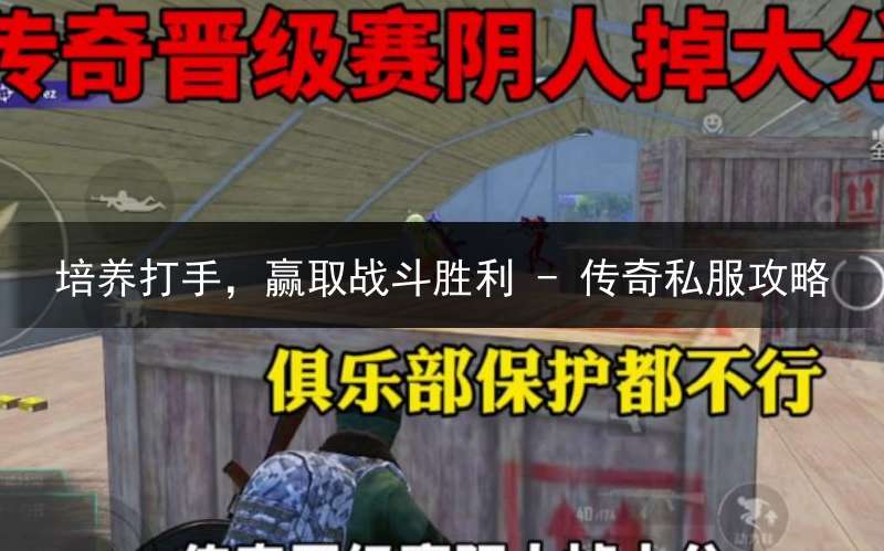 培养打手，赢取战斗胜利 - 传奇私服攻略