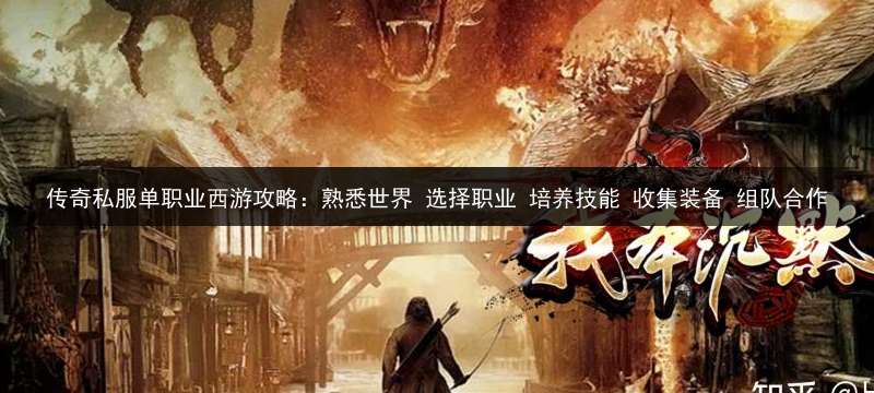 传奇私服单职业西游攻略：熟悉世界 选择职业 培养技能 收集装备 组队合作